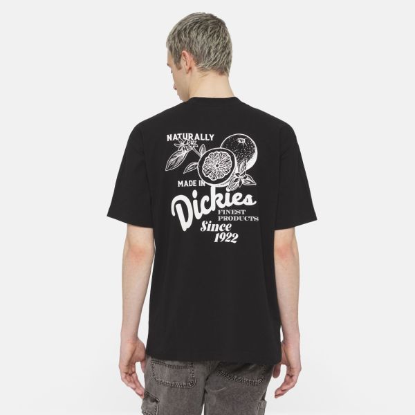 Dickies Raven T-shirt Zwart